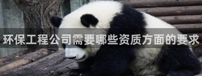 彩名堂最新版www