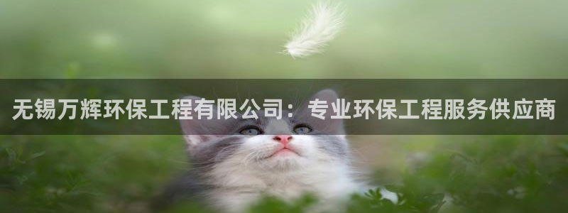 彩名堂在线下载