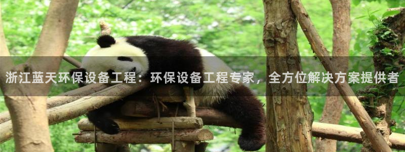 彩名堂为什么打不开：浙江蓝天环保设备