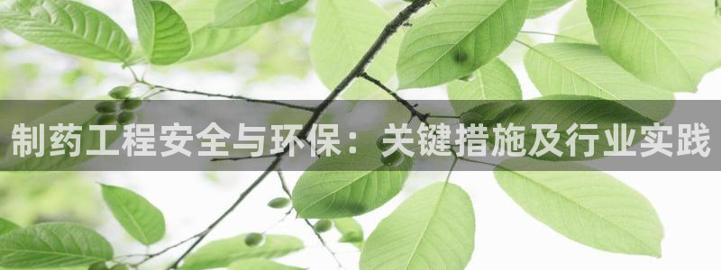 彩名堂