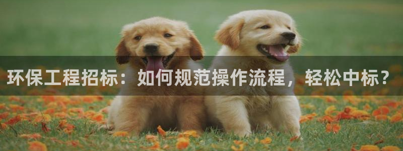 彩名堂最新免费计划官网