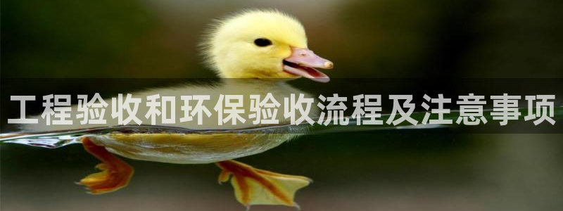 彩名堂怎么样