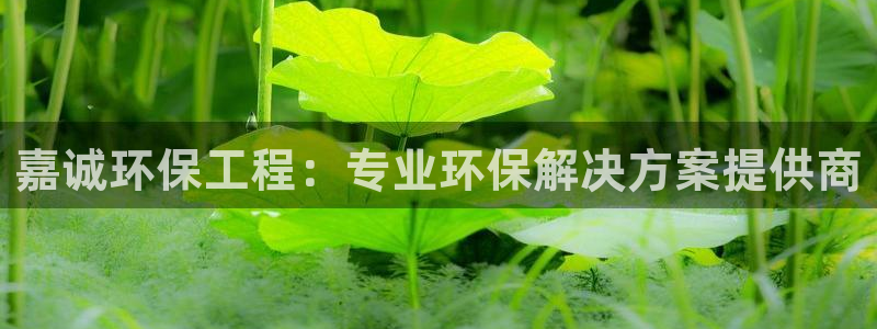 彩名堂怎么跟计划才不连挂