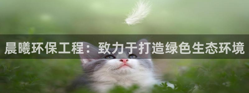 彩名堂免费计划使用方法是什么