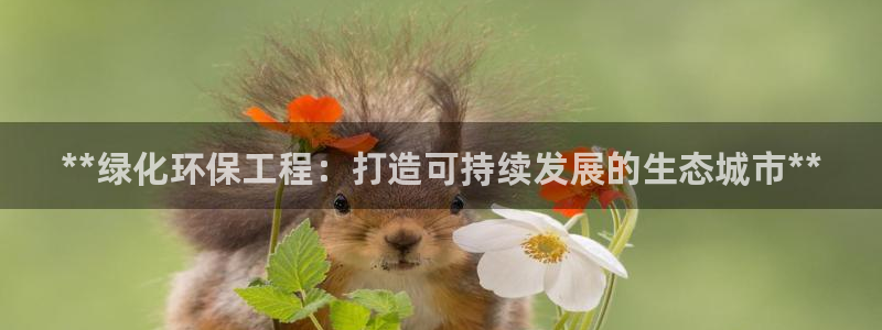 彩名堂彩