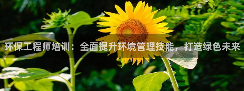 彩名堂还可以用吗