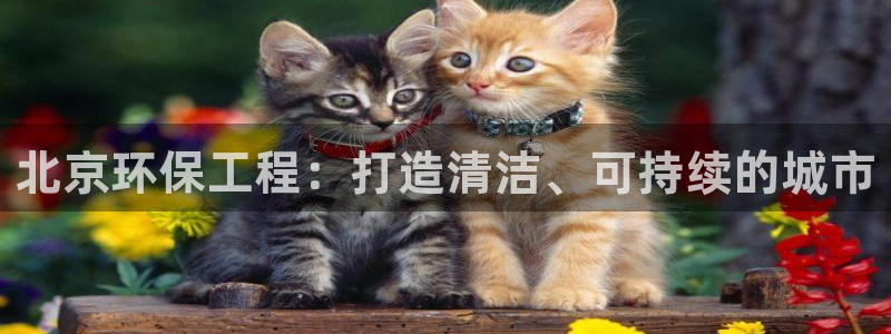 彩名堂为什么突然不能用了