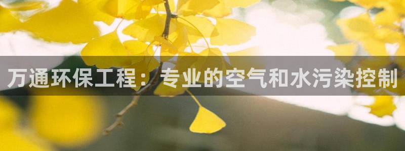 彩名堂预测