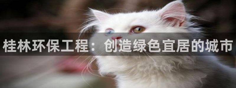 彩名堂APP下载