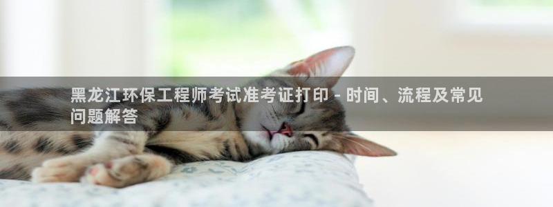 彩名堂预测软件与分析