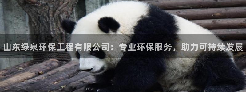 彩名堂为什么突然不能用了