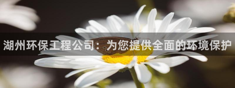 彩名堂怎么打最稳：湖州环保工程公司：