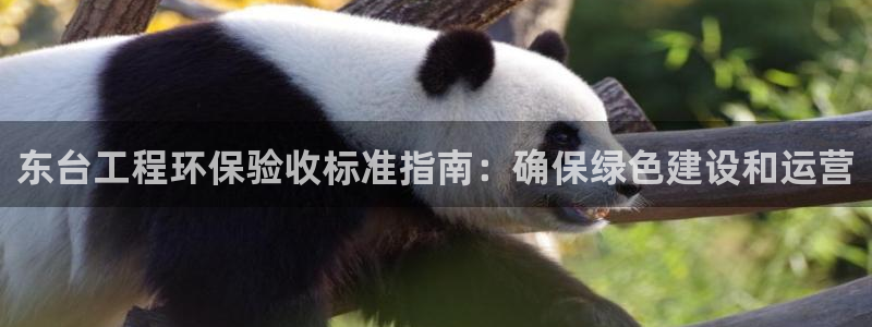 彩名堂为什么打不开：东台工程环保验收
