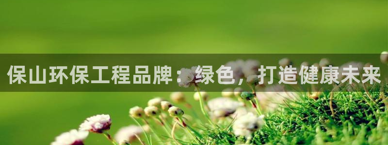 彩名堂官网计划：保山环保工程品牌：绿