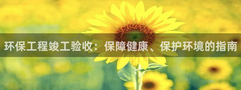 彩名堂好用还是千里马好用一点：环保工
