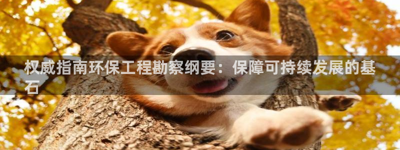 彩名堂人工计划客户端官网：权威指南环保工程勘察纲要：保障可持续发展的基
石
