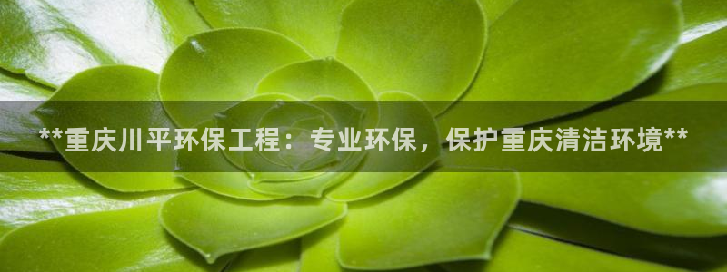 彩名堂免费计划使用方法是什么：**重