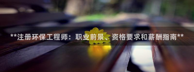 彩名堂官方平台：**注册环保工程师：
