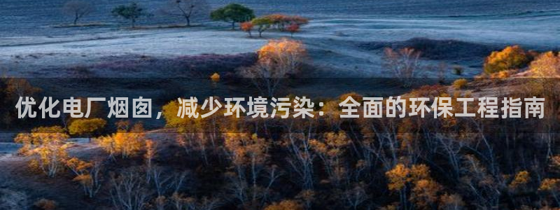 彩名堂.netnet：优化电厂烟囱，