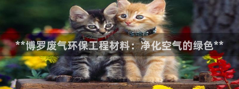 彩名堂官方下载地址：**博罗废气环保工程材料：净化空气的绿色**