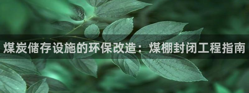 彩名堂免费计划官网怎么进不去了呢：煤