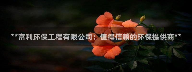 彩名堂是正规的公司吗：**富利环保工程有限公司：值得信赖的环保提供商**