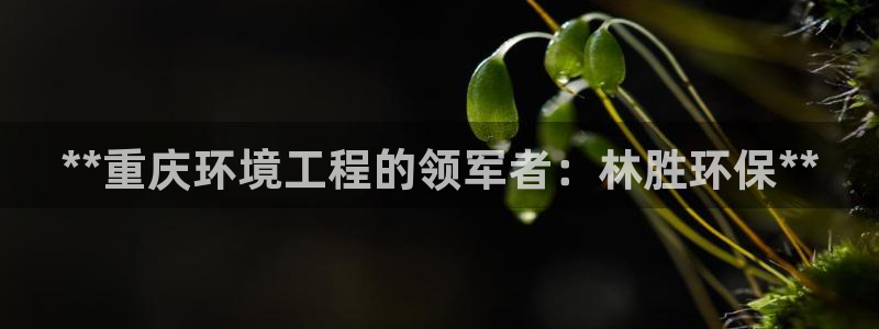 彩名堂手机客户端怎么下载：**重庆环