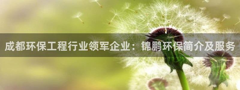 彩名堂怎么不能用了：成都环保工程行业