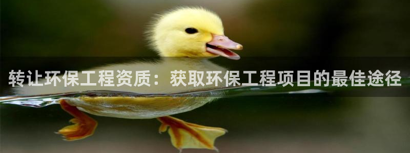 彩名堂手机客户端怎么下载：转让环保工