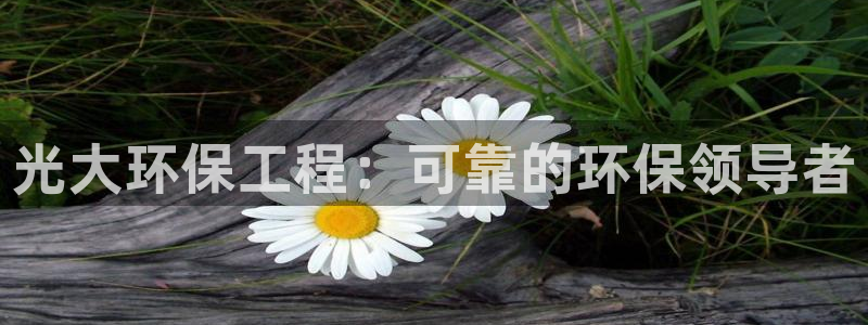 彩名堂预测官网：光大环保工程：可靠的