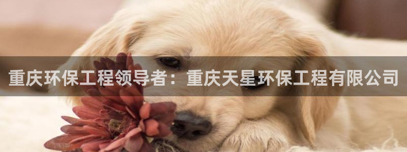 彩名堂怎么打不开了：重庆环保工程领导