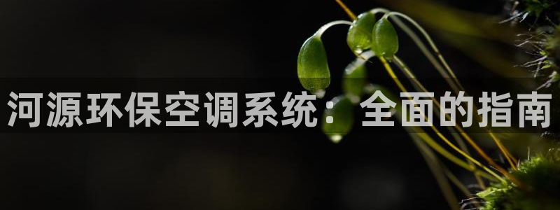 彩名堂怎么选稳定计划产品：河源环保空