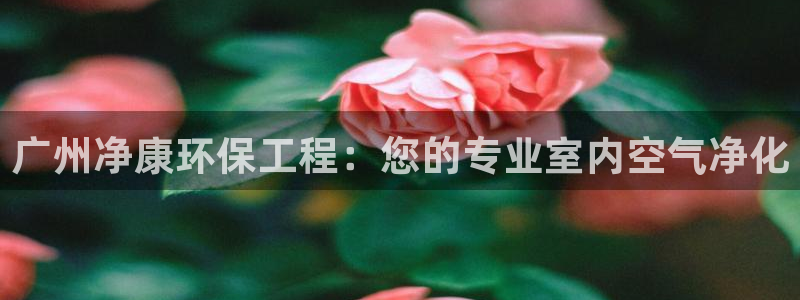 彩名堂改名稻草人了吗知乎：广州净康环