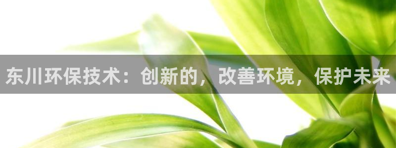 彩名堂免费计划官网5.0版下载链接：
