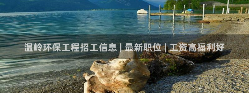 彩名堂安卓客户端官网下载安装：温岭环保工程招工信息 | 最新职位 | 工资高福利好