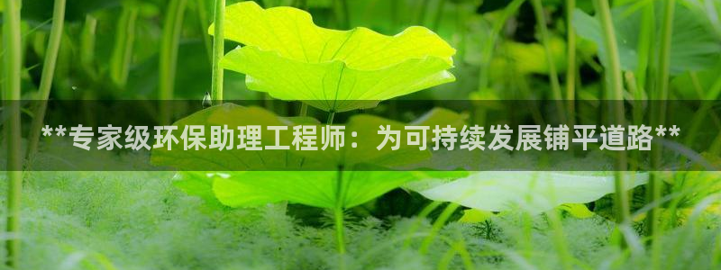 彩名堂怎么样：**专家级环保助理工程