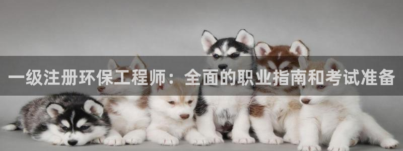 彩名堂app官方下载：一级注册环保工程师：全面的职业指南和考试准备