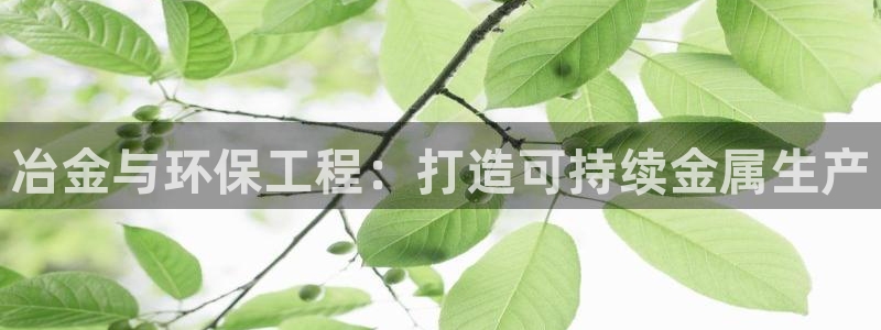 彩名堂免费计划官网怎么进不去了呀：冶