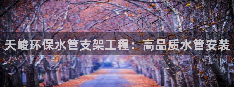 彩名堂APP下载：天峻环保水管支架工