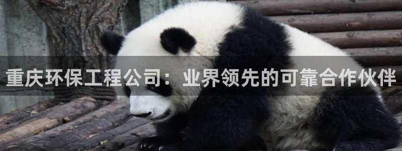 彩名堂客户端官网：重庆环保工程公司：
