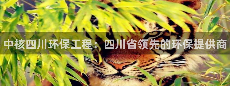 彩名堂在线下载：中核四川环保工程：四