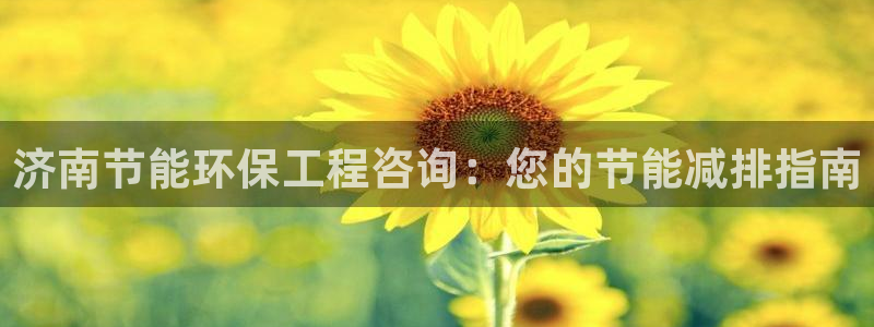 彩名堂app官方网：济南节能环保工程