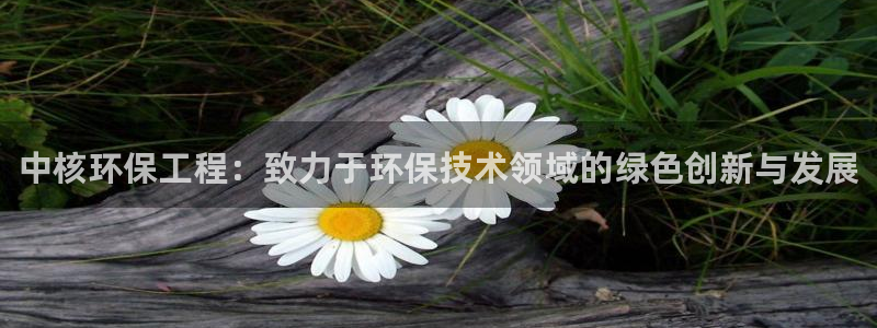 彩名堂怎么买准确率高：中核环保工程：