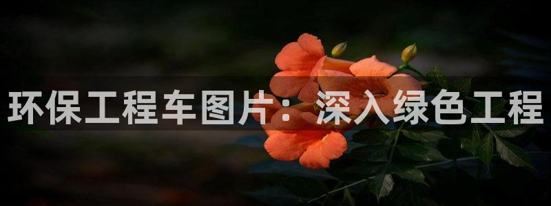 彩名堂50版本计划：环保工程车图片：