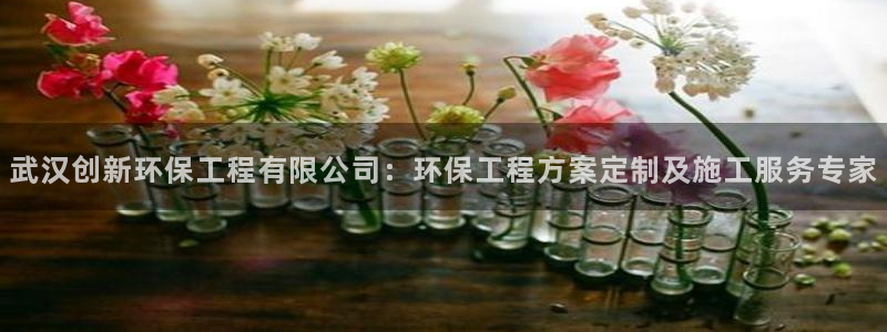 彩名堂最新免费计划官网：武汉创新环保