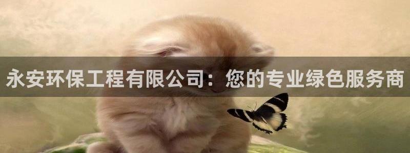 彩名堂好用还是千里马好用：永安环保工程有限公司：您的专业绿色服务商