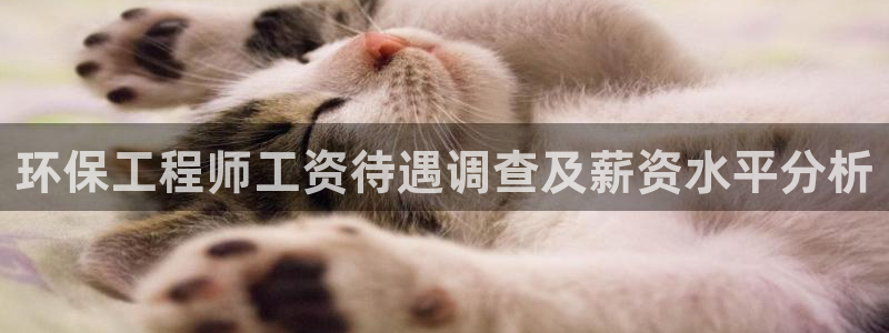 彩名堂975新版本：环保工程师工资待
