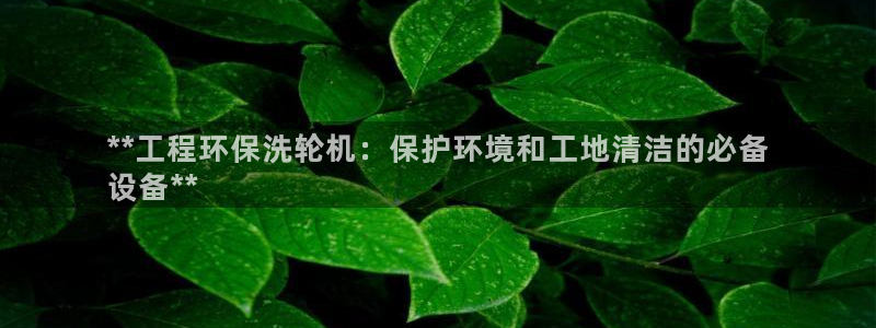 老版本彩名堂计划软件：**工程环保洗轮机：保护环境和工地清洁的必备
设备**