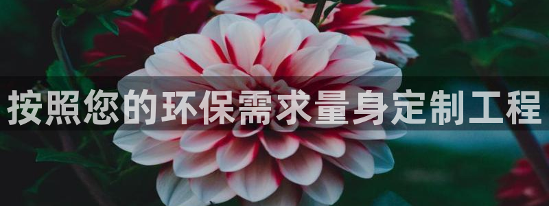 彩名堂安卓客户端官网下载：按照您的环