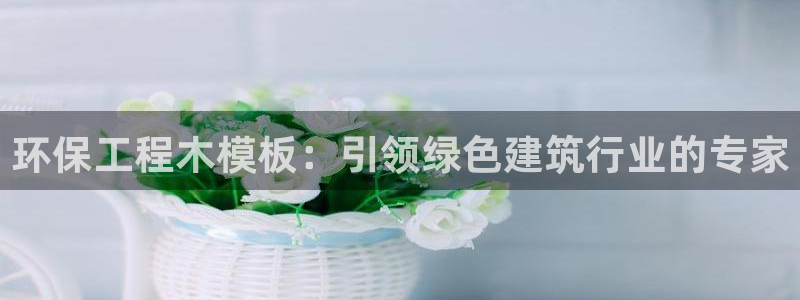 彩名堂改名稻草人了吗知乎：环保工程木模板：引领绿色建筑行业的专家